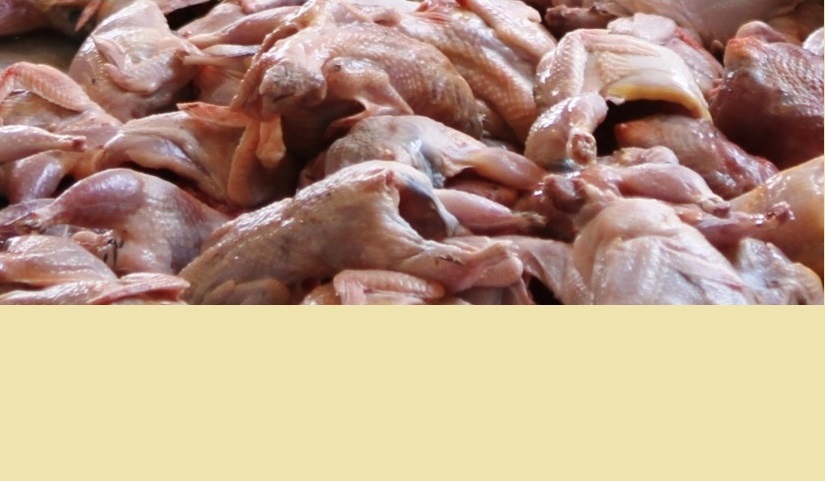 HAYMER Bıldırcın eti satışı