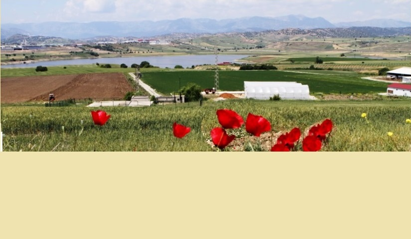 HAYMER Kümesler 1. Gr