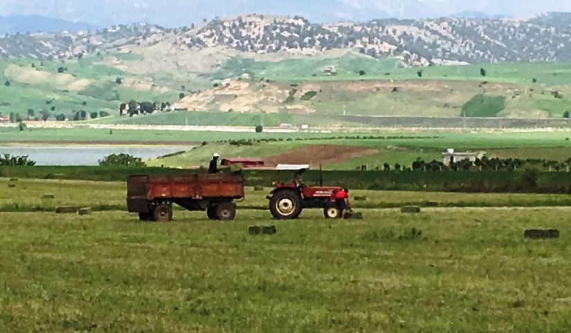 Haymer üretimi yonca balyaları toplanıyor